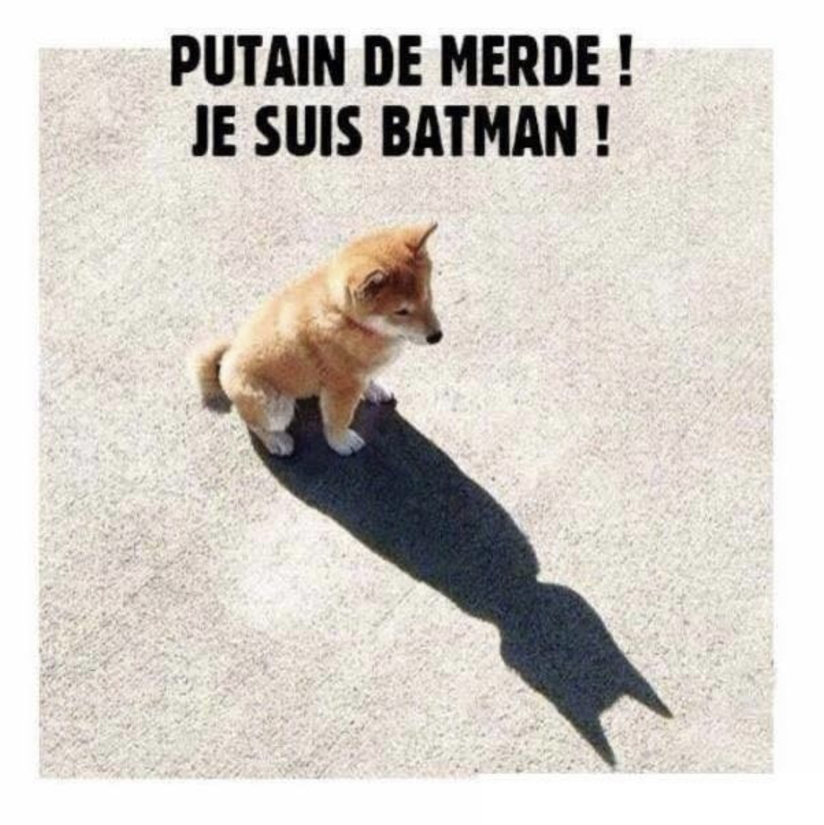 Putain de merde